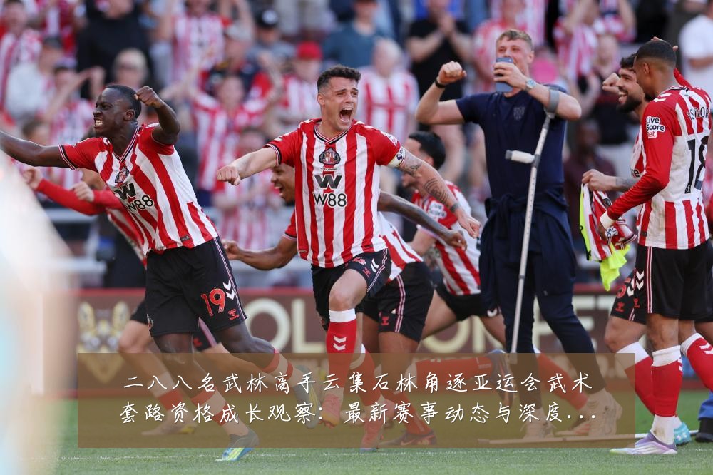 二八八名武林高手云集石林角逐亚运会武术套路资格成长观察:最新赛事动态与深度分析