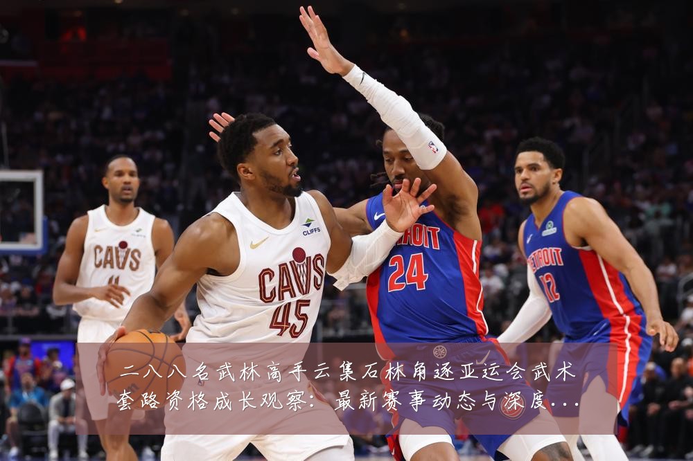 二八八名武林高手云集石林角逐亚运会武术套路资格成长观察：最新赛事动态与深度分析